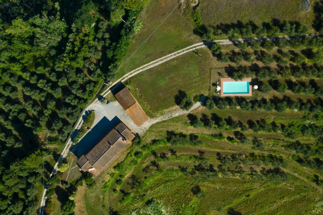 Podere L'Ulivo Сан-Миниато Экстерьер фото