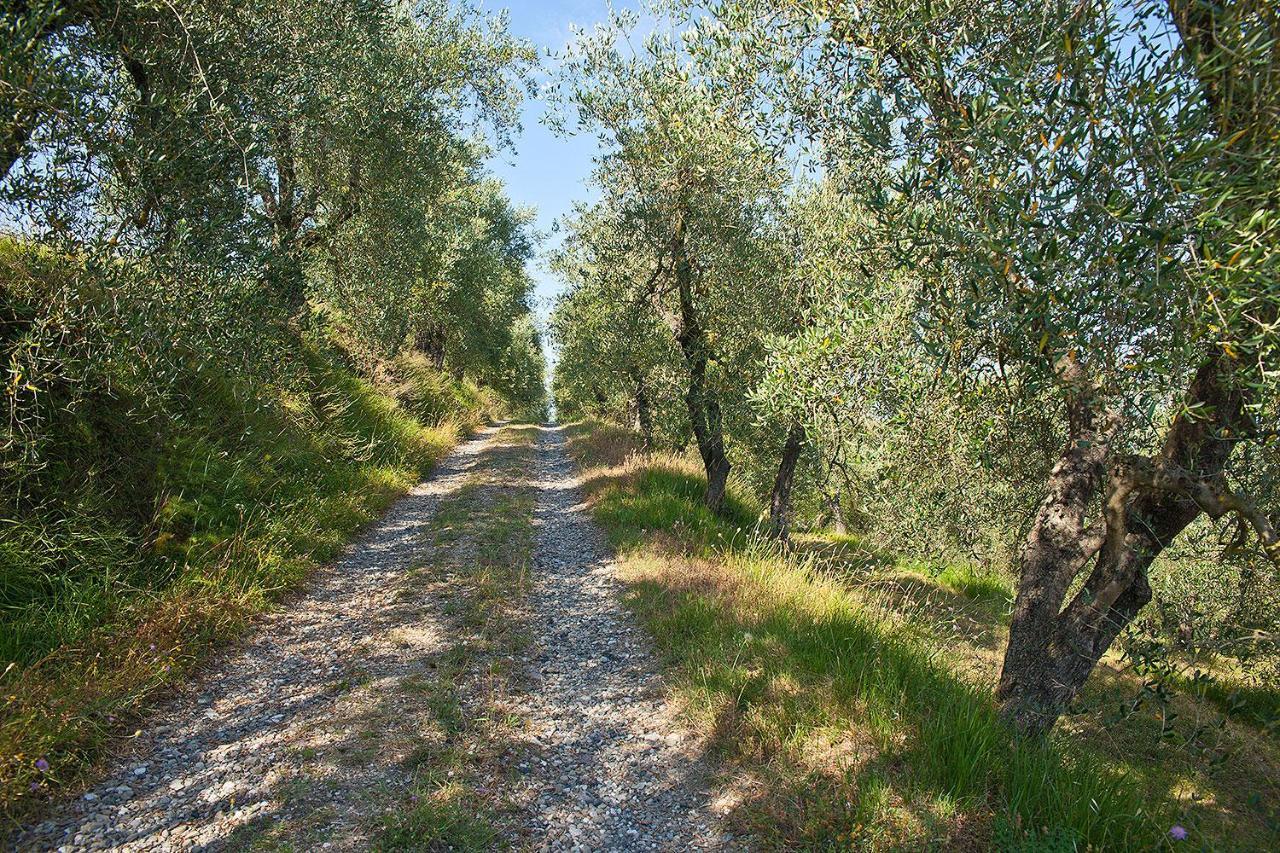 Podere L'Ulivo Сан-Миниато Экстерьер фото