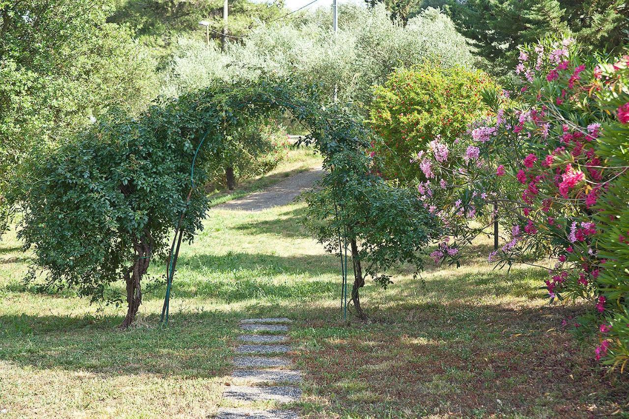 Podere L'Ulivo Сан-Миниато Экстерьер фото