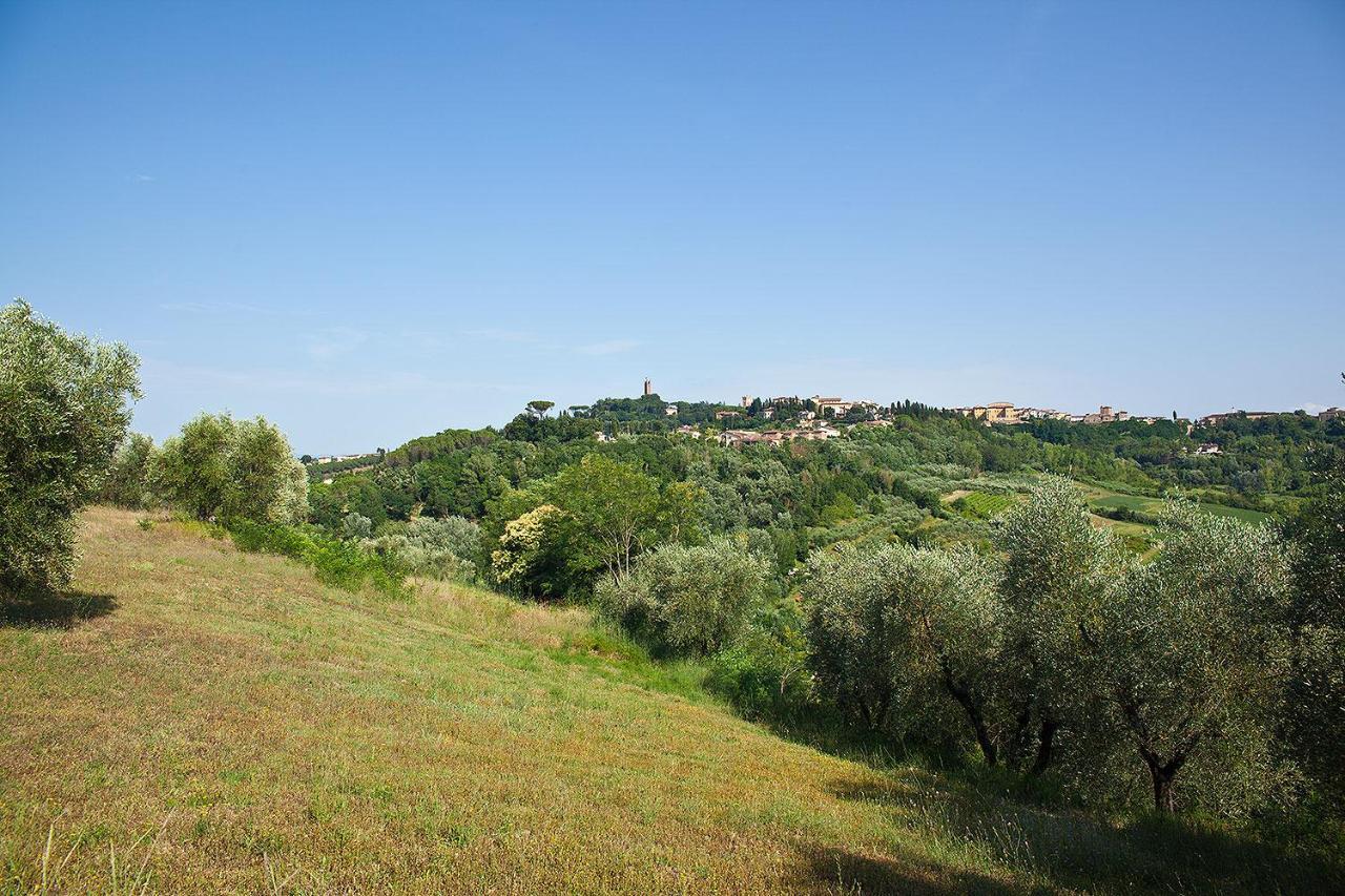 Podere L'Ulivo Сан-Миниато Экстерьер фото